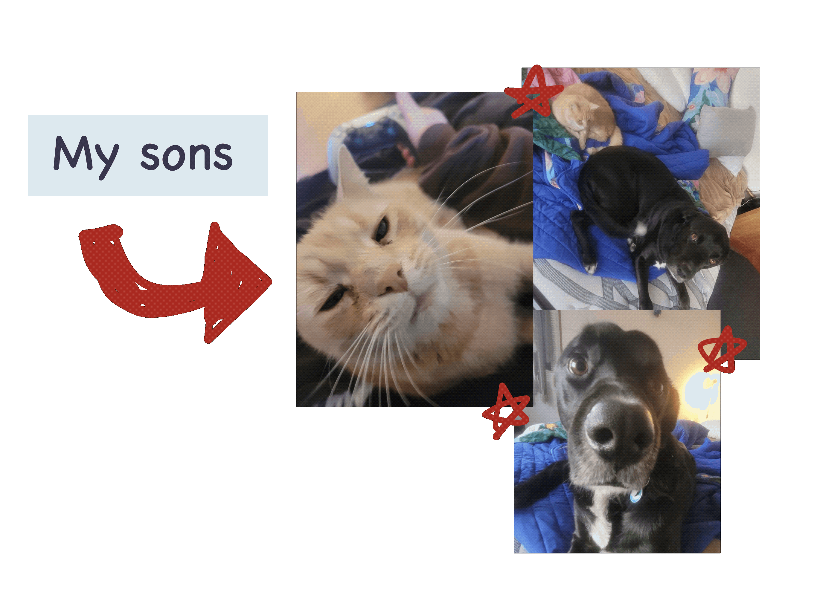 Description of the image